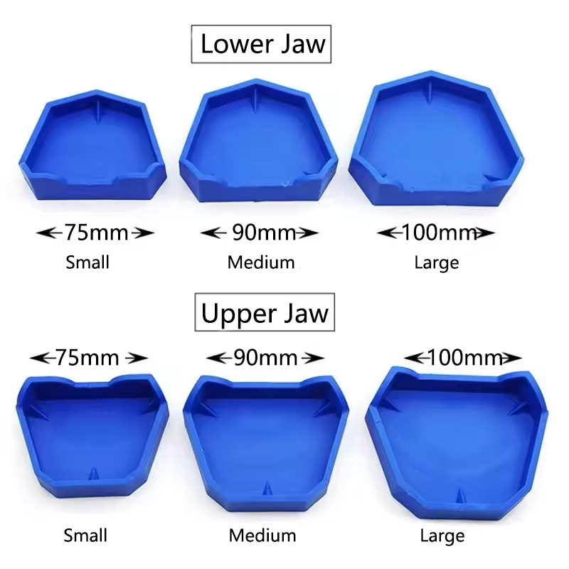Base de modelo Dental, Base de - Teeth Whitening Trays reseña y precio