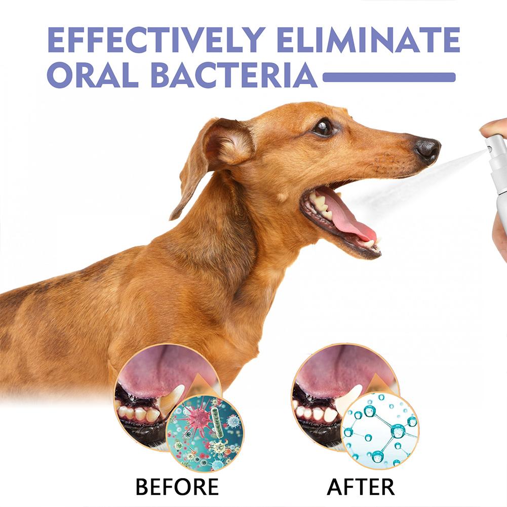 Spray de limpieza Oral para ma - Whitening Mouthwash reseña y precio